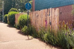 Holzzaun zum Weg mit Blumen Holzzaun zum Weg mit Blumen