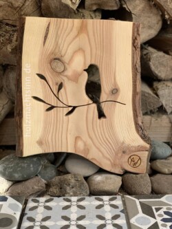 Vogel auf Zweig Vogel auf einem Zweig