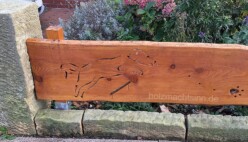 Zaun Hundemotive Detailansicht Vorgartenzaun Hundemotive Detailansicht